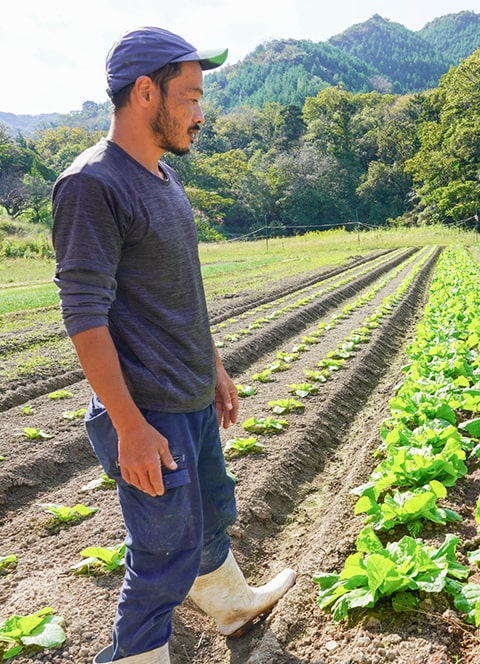 男性が畑を眺めている