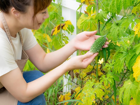 女性がゴーヤを見て笑っている