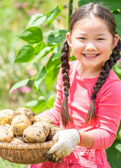小さい女の子が沢山のジャガイモが入ったかごを笑顔で持っている
