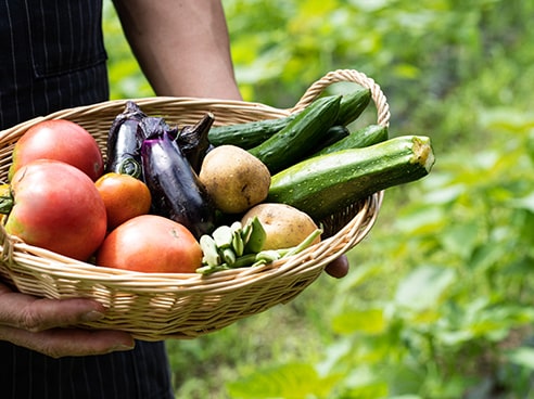 かごの中に新鮮な野菜が沢山入っている